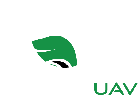 Falcon uav