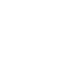 5_Report