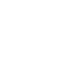 API-icon