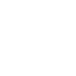 Data-twin-icon