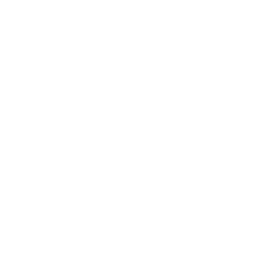 Data-visualisation-icon