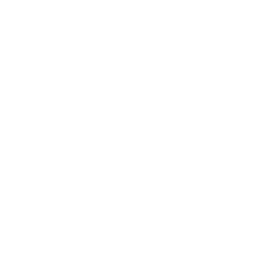 Secure-icon