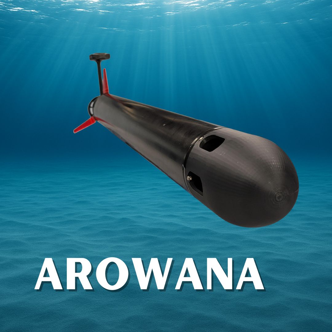 arowana
